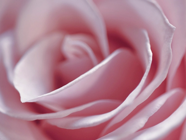 Ambiance douce et pastel